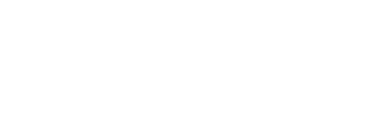 Item 1